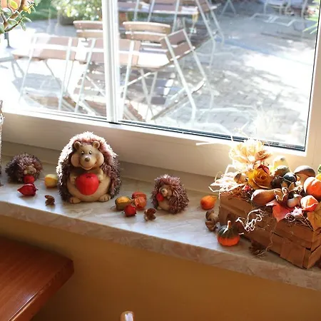 Landhotel Pockau 3* Pockau